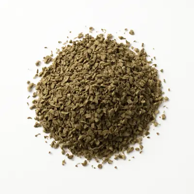 Illustration of basil, dried